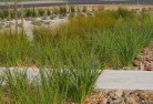 Ellen Grovelandscaping-water-management-and-drainage-12.jpg; ?>