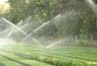 Ellen Grovelandscaping-water-management-and-drainage-17.jpg; ?>